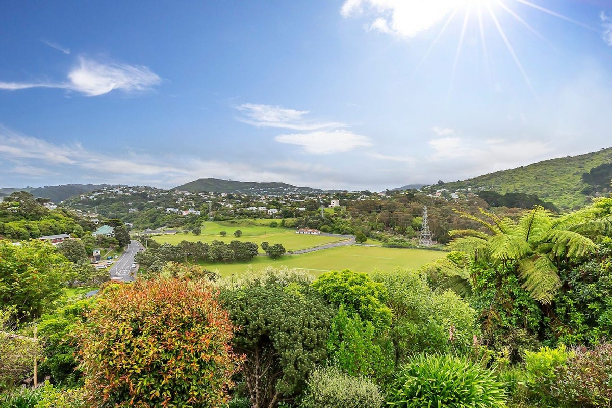 39 Cheshire Street, Wilton, Wellington - Carousel 10