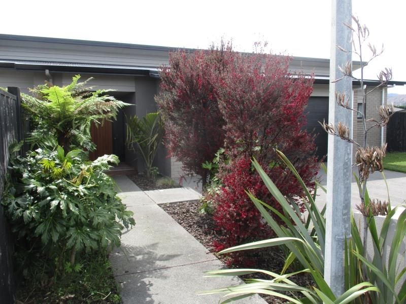 89 Kotuku Drive, Paraparaumu Beach, Paraparaumu - Carousel 2