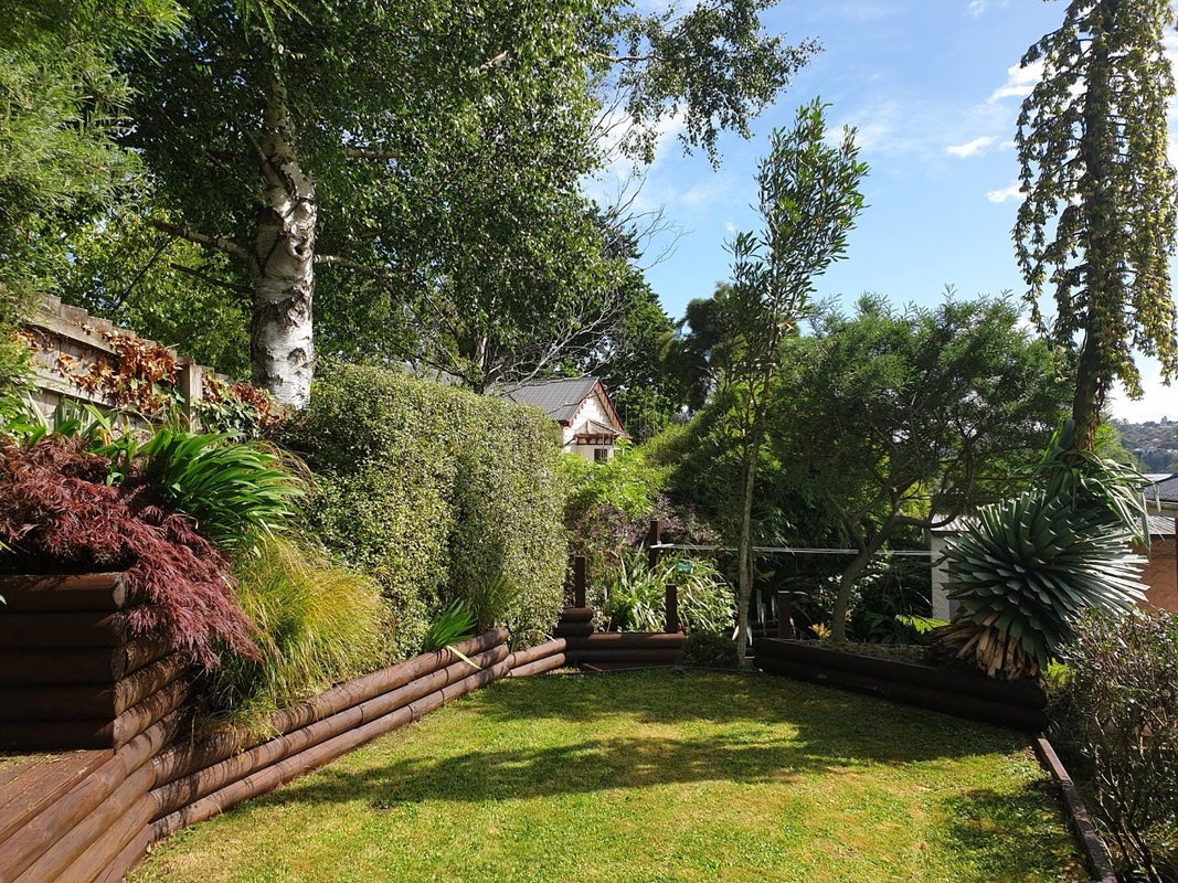 16 Craigleith Street, North East Valley, Dunedin - Carousel 14