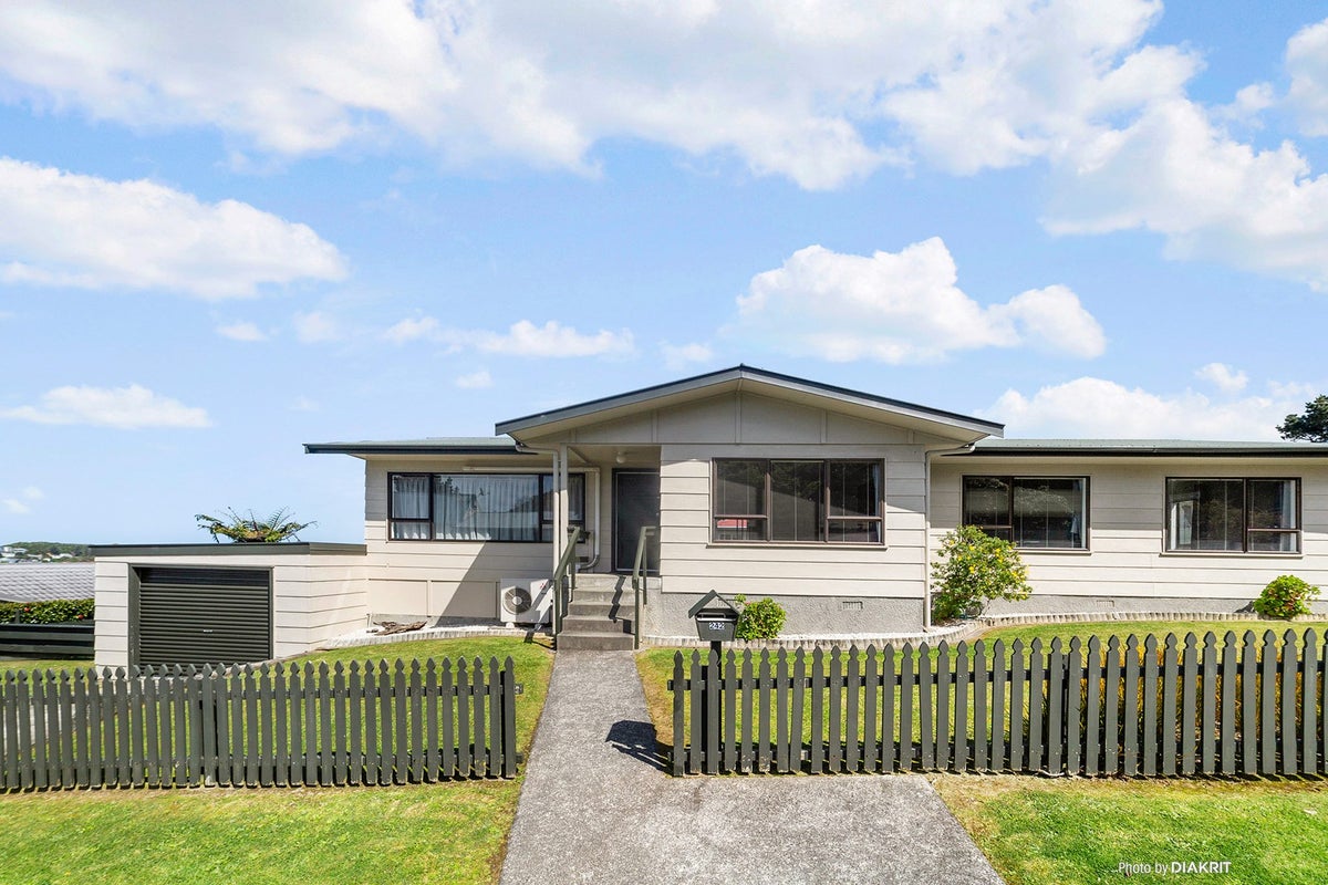 242 Mitchell Street, Brooklyn, Wellington - Carousel 1
