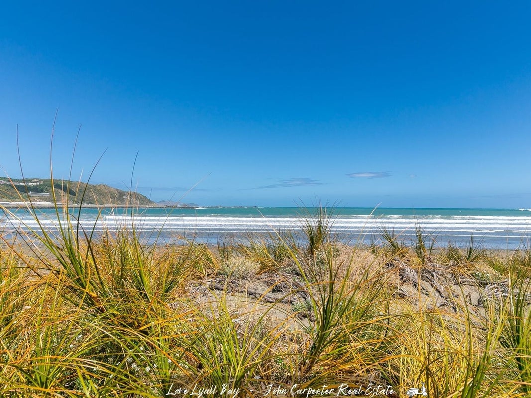 1/102 Lyall Parade, Lyall Bay, Wellington - Carousel 21