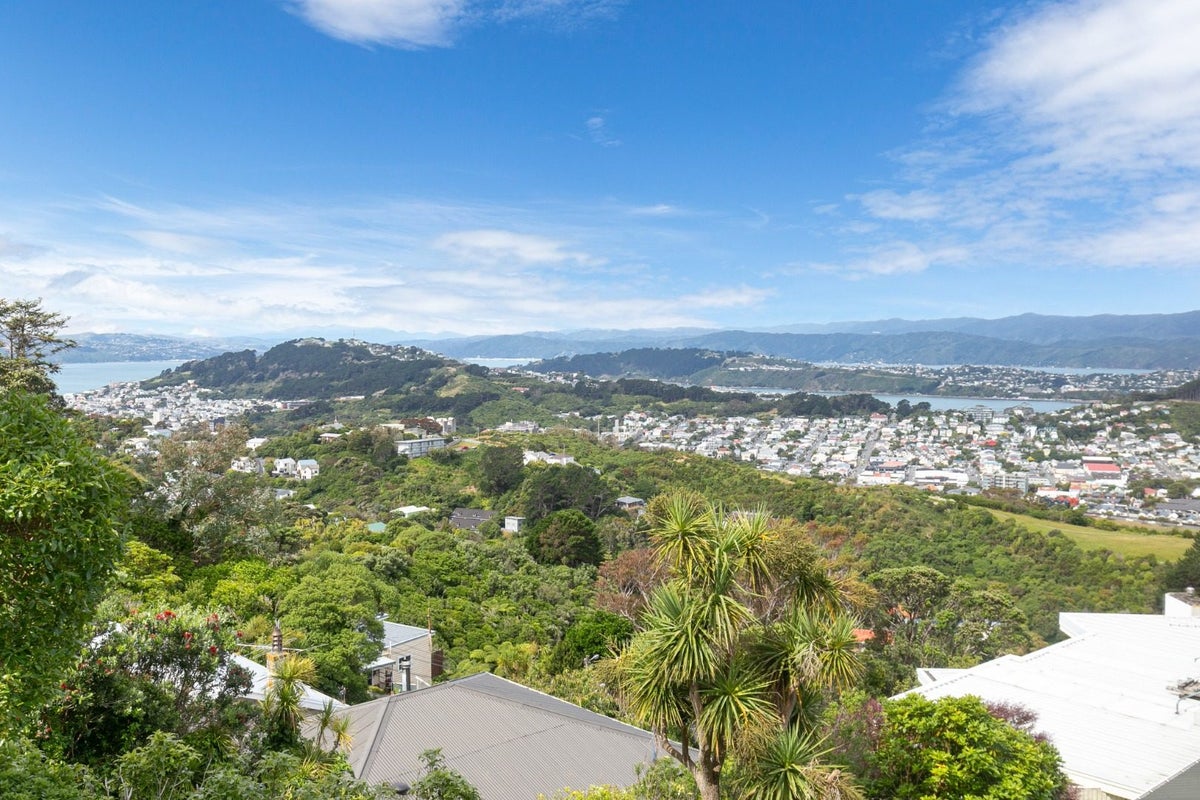 111A The Ridgeway, Mornington, Wellington - Carousel 20