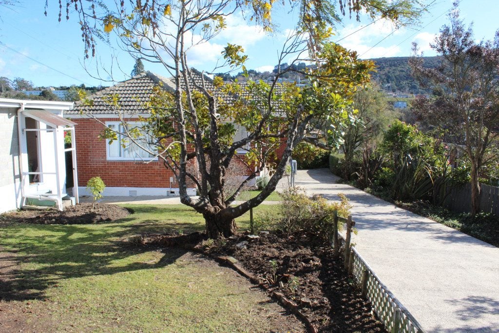 17 Ethel Street, Wakari, Dunedin - Carousel 2
