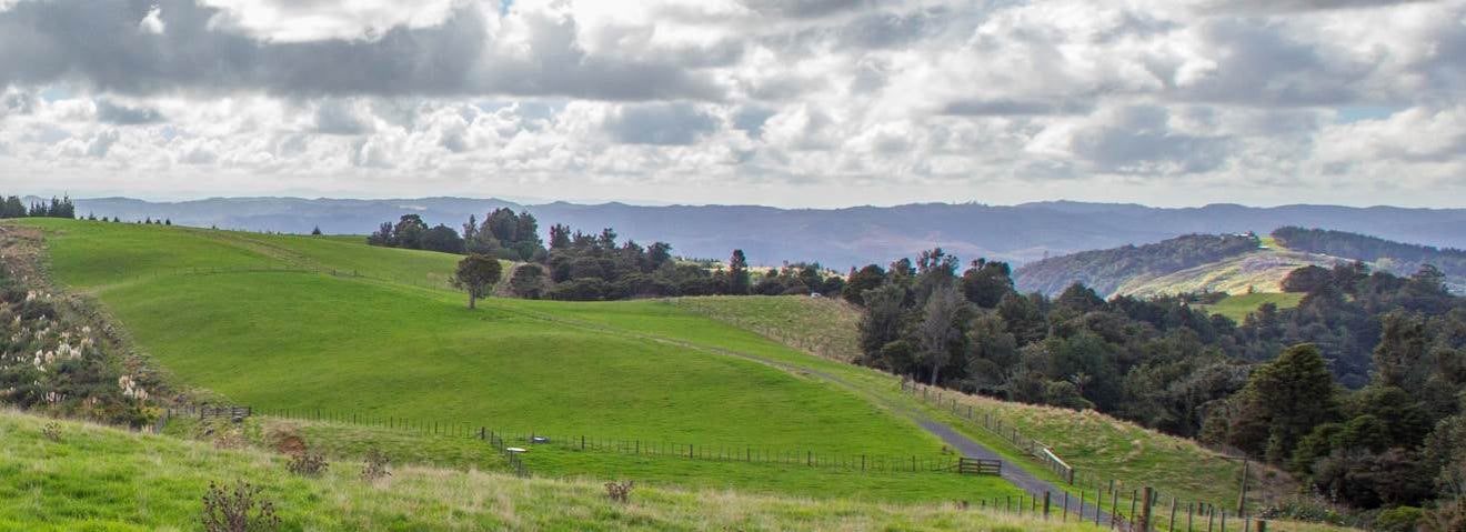 0 Moir Hill Road, Warkworth, Warkworth - Carousel 33