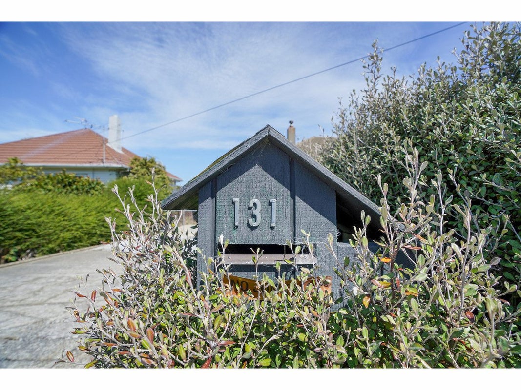 131 Islington Street, Turnbull Thomson Park, Invercargill - Carousel 23
