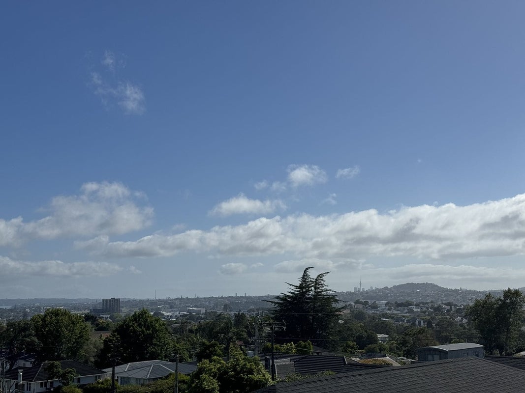 20 Gilliam Street, New Lynn, Auckland - Carousel 11
