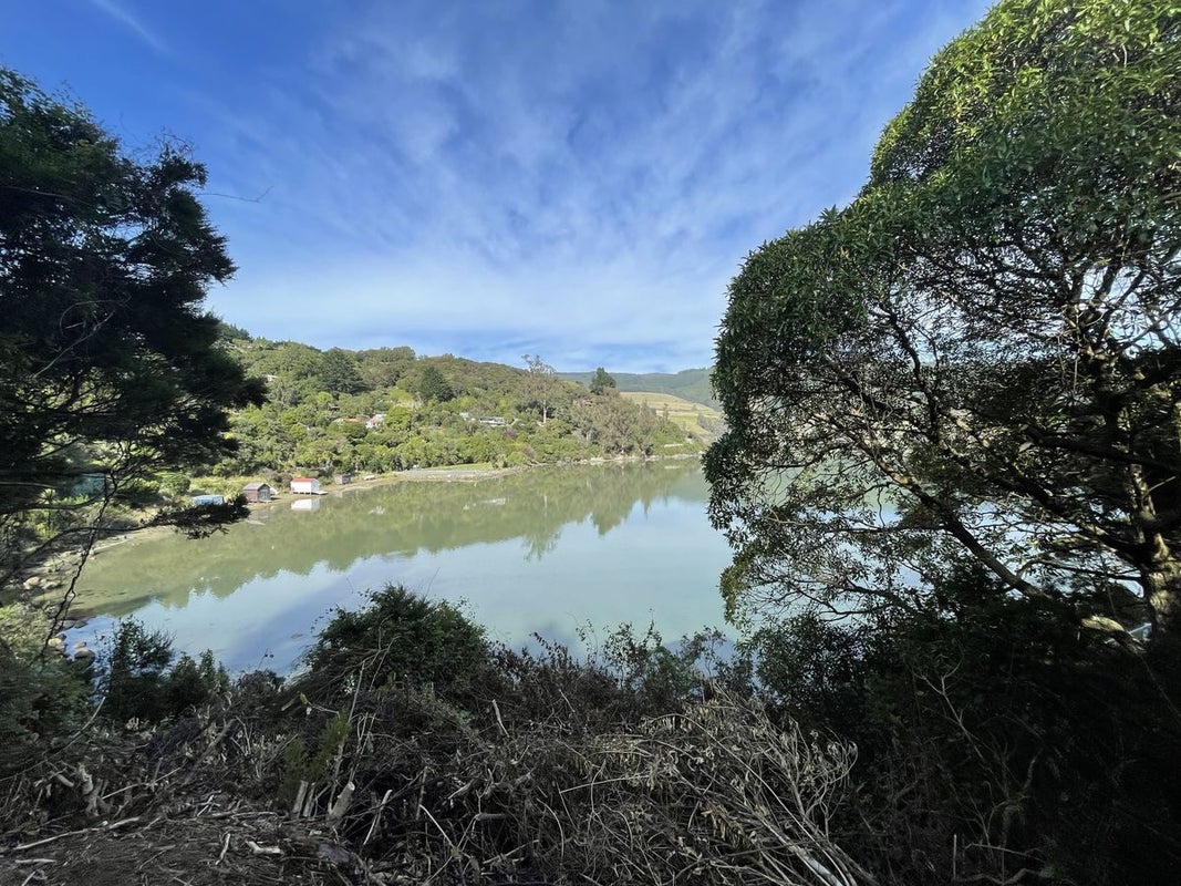 38 Bay Road, Purakaunui, Port Chalmers - Carousel 2