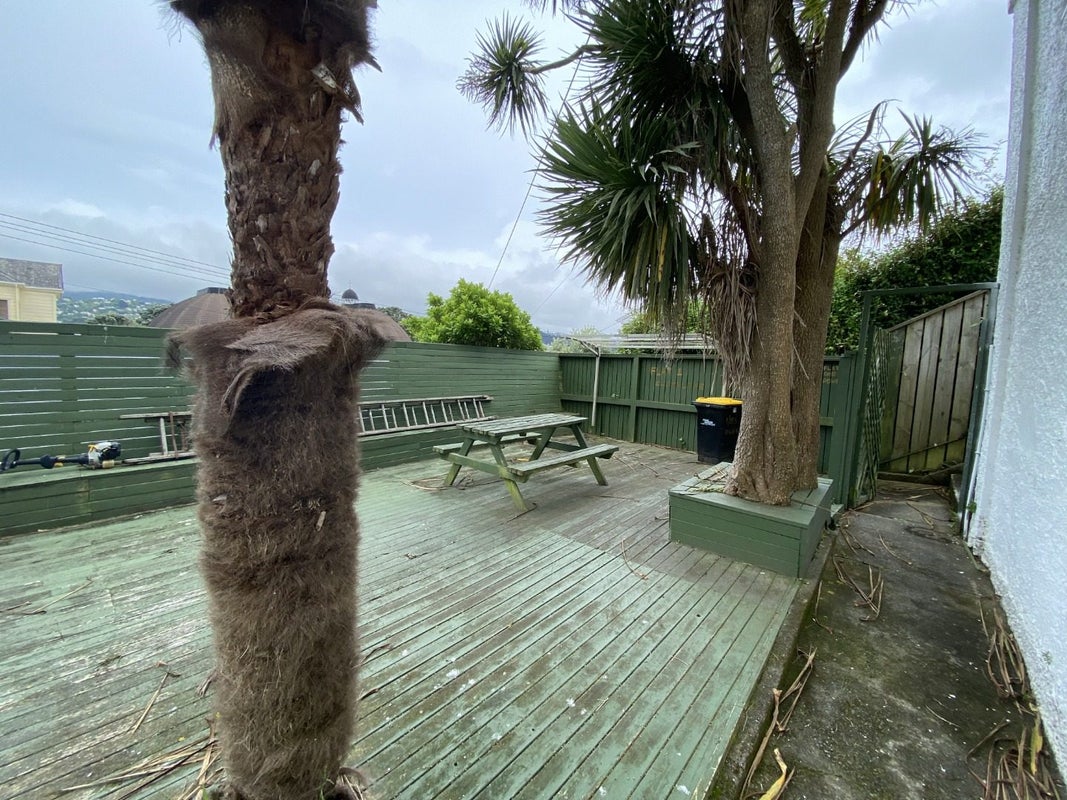 155 Owen Street, Newtown, Wellington - Carousel 8