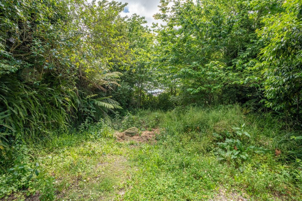 191A Cambridge Road, Hillcrest, Hamilton - Carousel 2