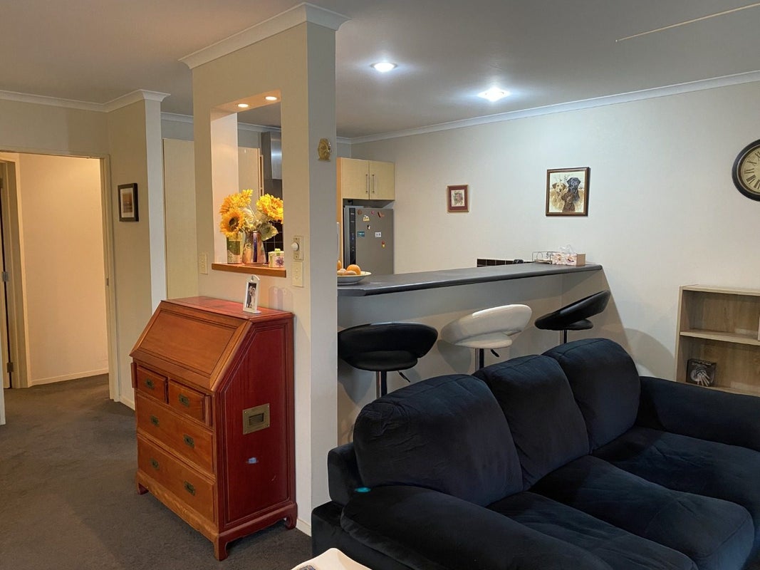 15F Manning Street, Hamilton Central, Hamilton - Carousel 2