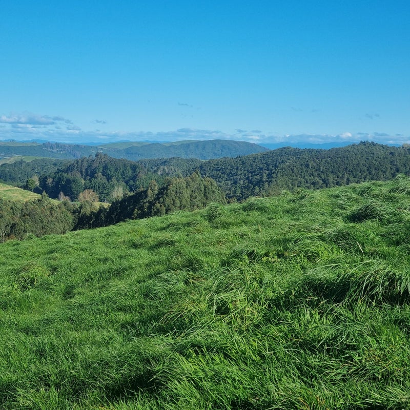 111 Otake Road, Marotiri, Taupo - Carousel 1