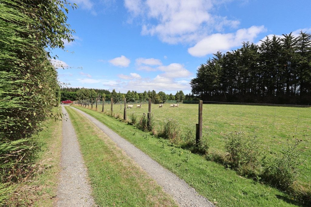 167 Lorne Dacre Road, Lorneville, Invercargill - Carousel 38