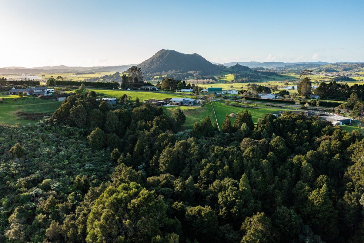 397 Apotu Road, Kamo - Carousel 29