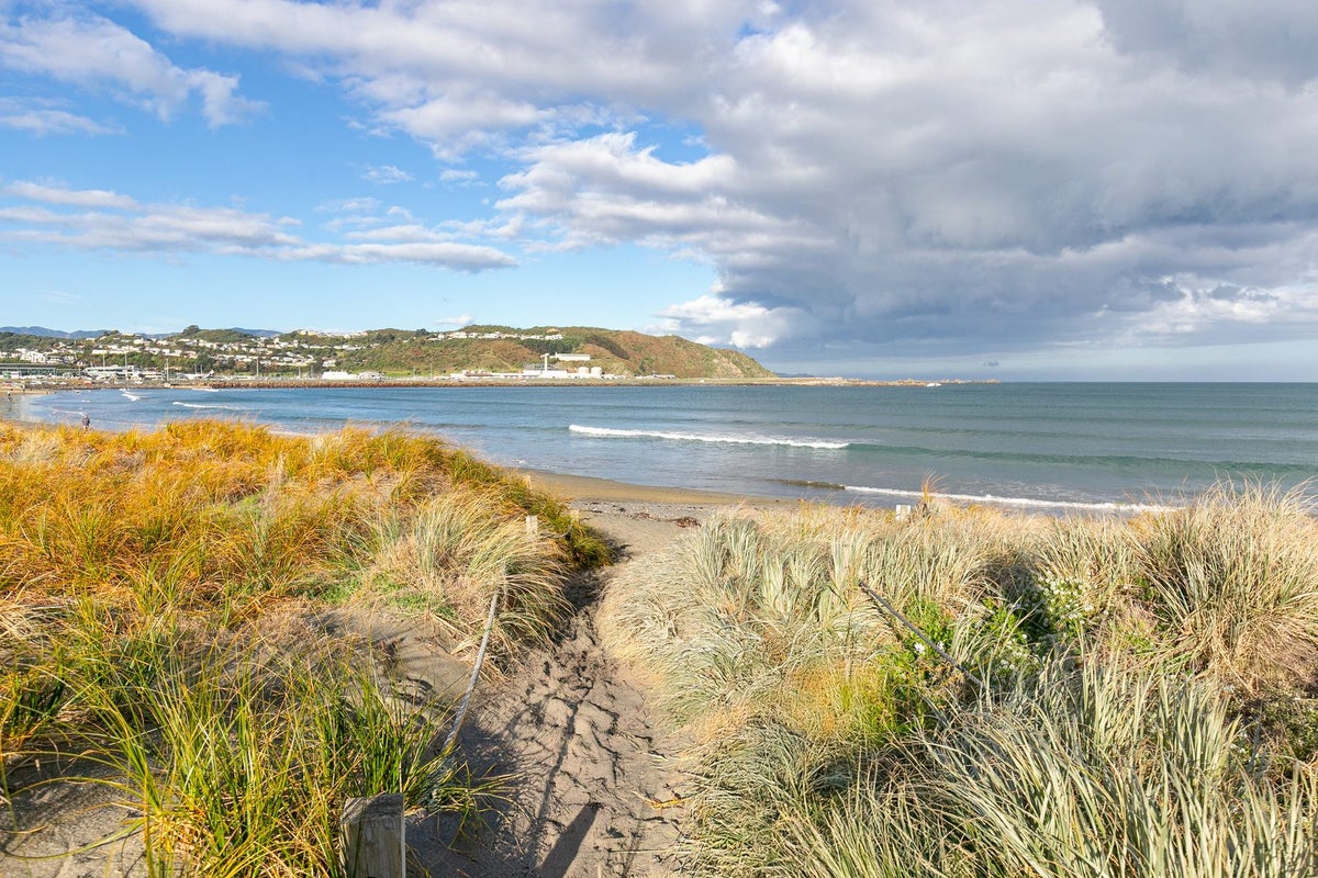 1 Palm Avenue, Lyall Bay, Wellington - Carousel 25