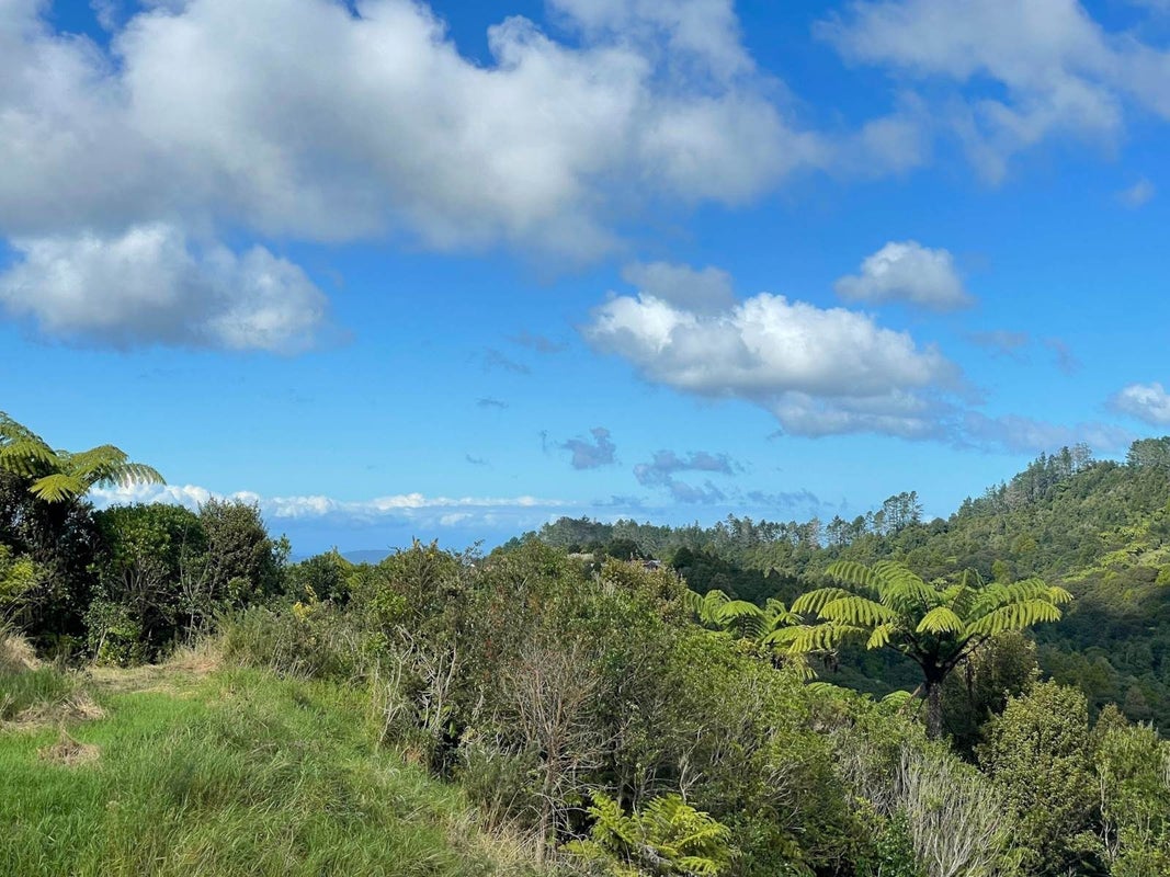 357C Govan Wilson Road, Warkworth - Carousel 2