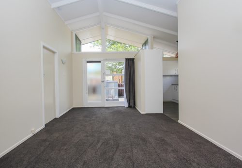 103A Clyde Street, Hamilton East, Hamilton - Carousel 1