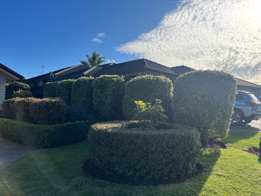 17 Evans Court, Pukekohe, Pukekohe - Carousel 2
