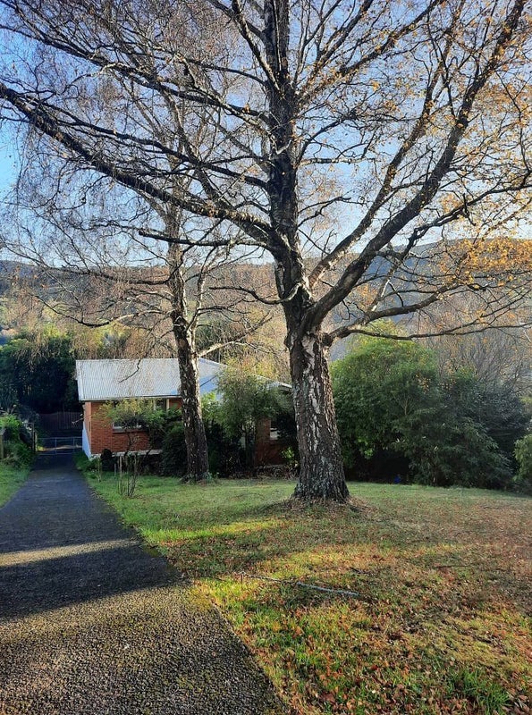 191 Evans Street, Opoho, Dunedin - Carousel 22