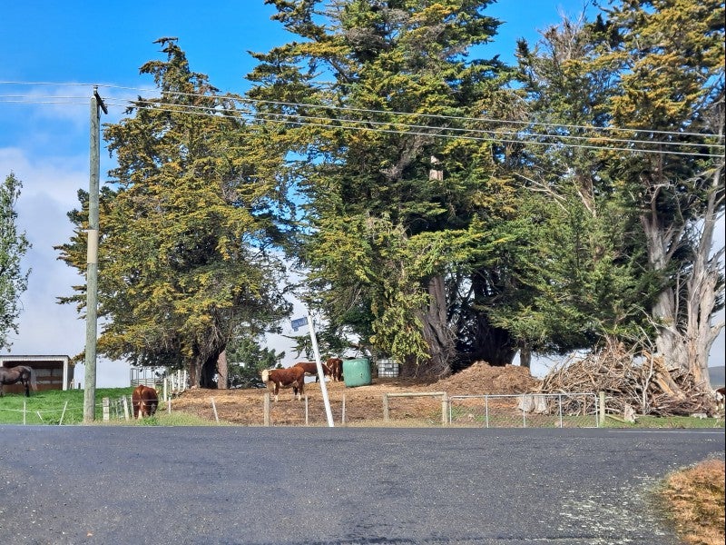 3 Stone House Road, Warepa - Carousel 17