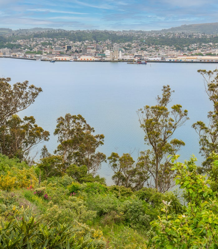 49 Doon Street, Vauxhall, Dunedin - Carousel 22