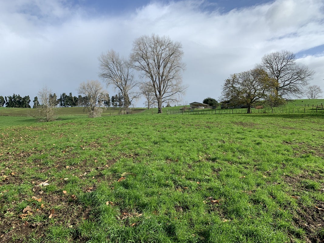 352 Otorohanga Road, Tokanui, Te Awamutu - Carousel 4