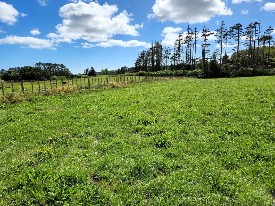 0 Te Arei Road, Huirangi, New Plymouth - Carousel 4