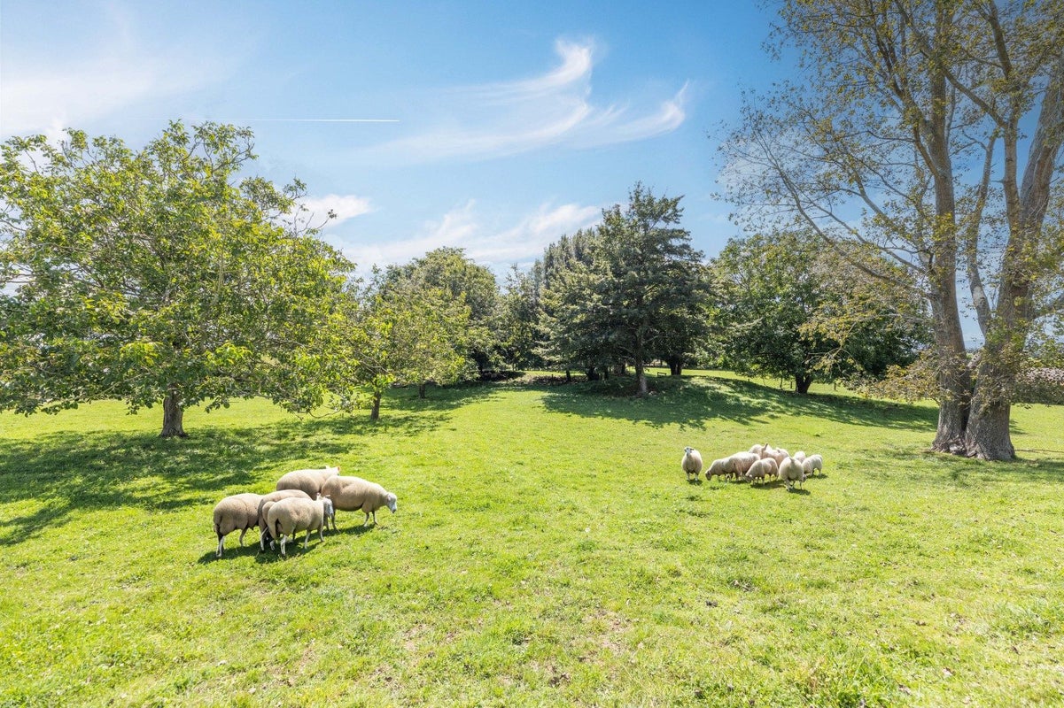 15 Pinedale Road, Putaruru - Carousel 2