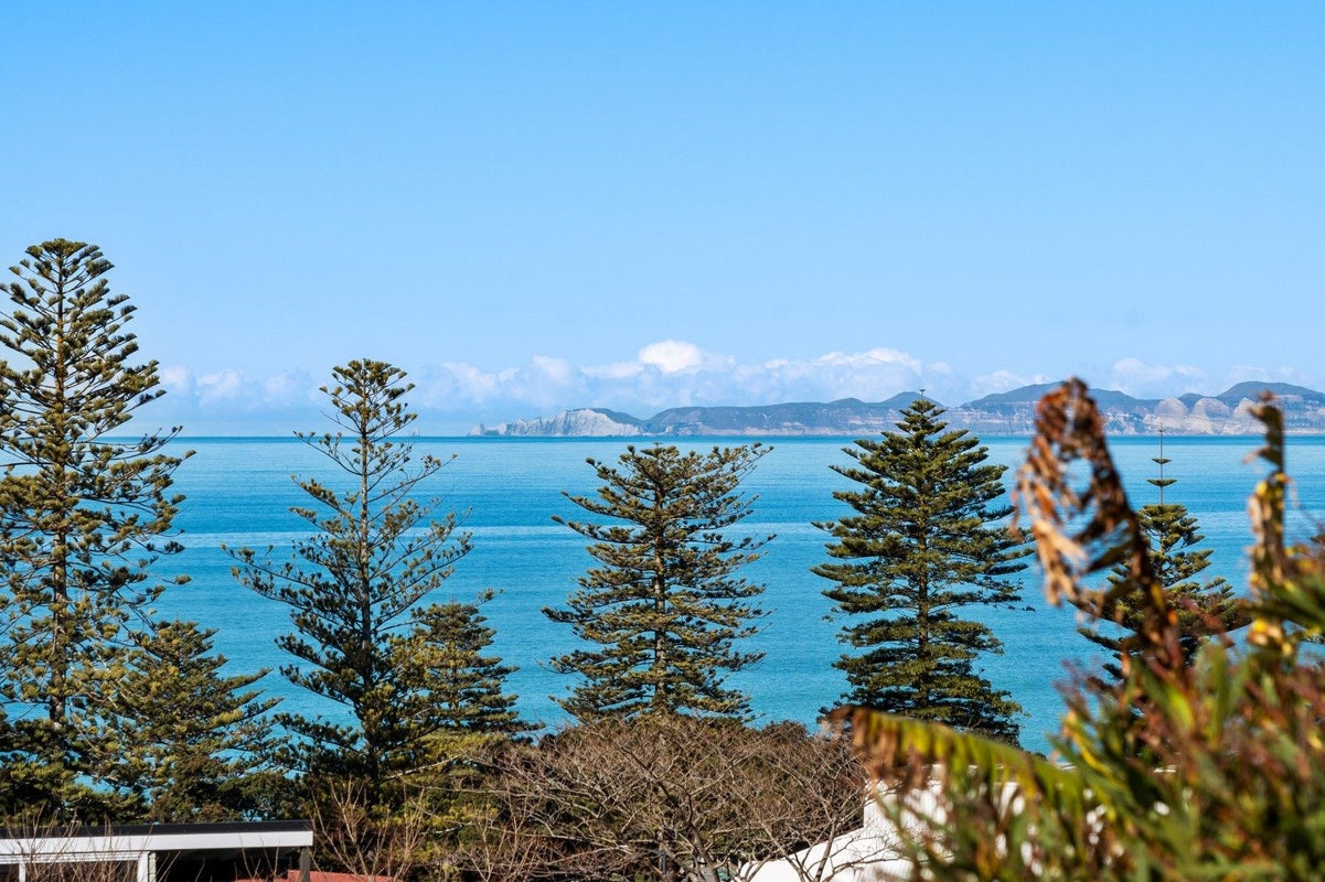 16 Brewster Street, Bluff Hill, Napier - Carousel 2