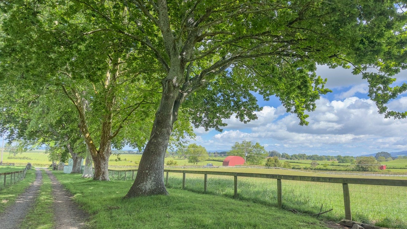 8308 Paeroa Kopu Road, Hikutaia, Paeroa - Carousel 2