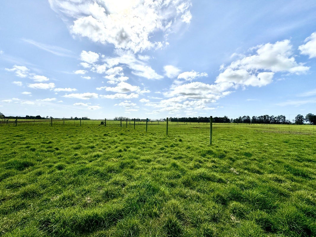 104 Acacia Drive, Levels, Timaru - Carousel 9