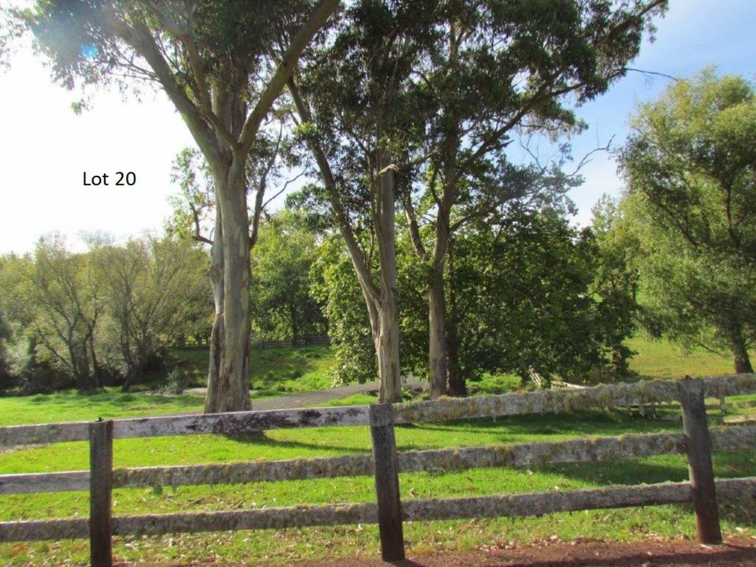 22 Plane Tree Lane Lane, RUATANGATA WEST - Carousel 2