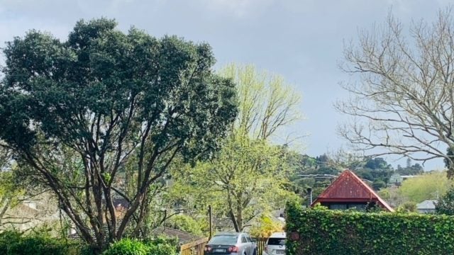 20 Balmoral Road, Epsom, Auckland - Carousel 18