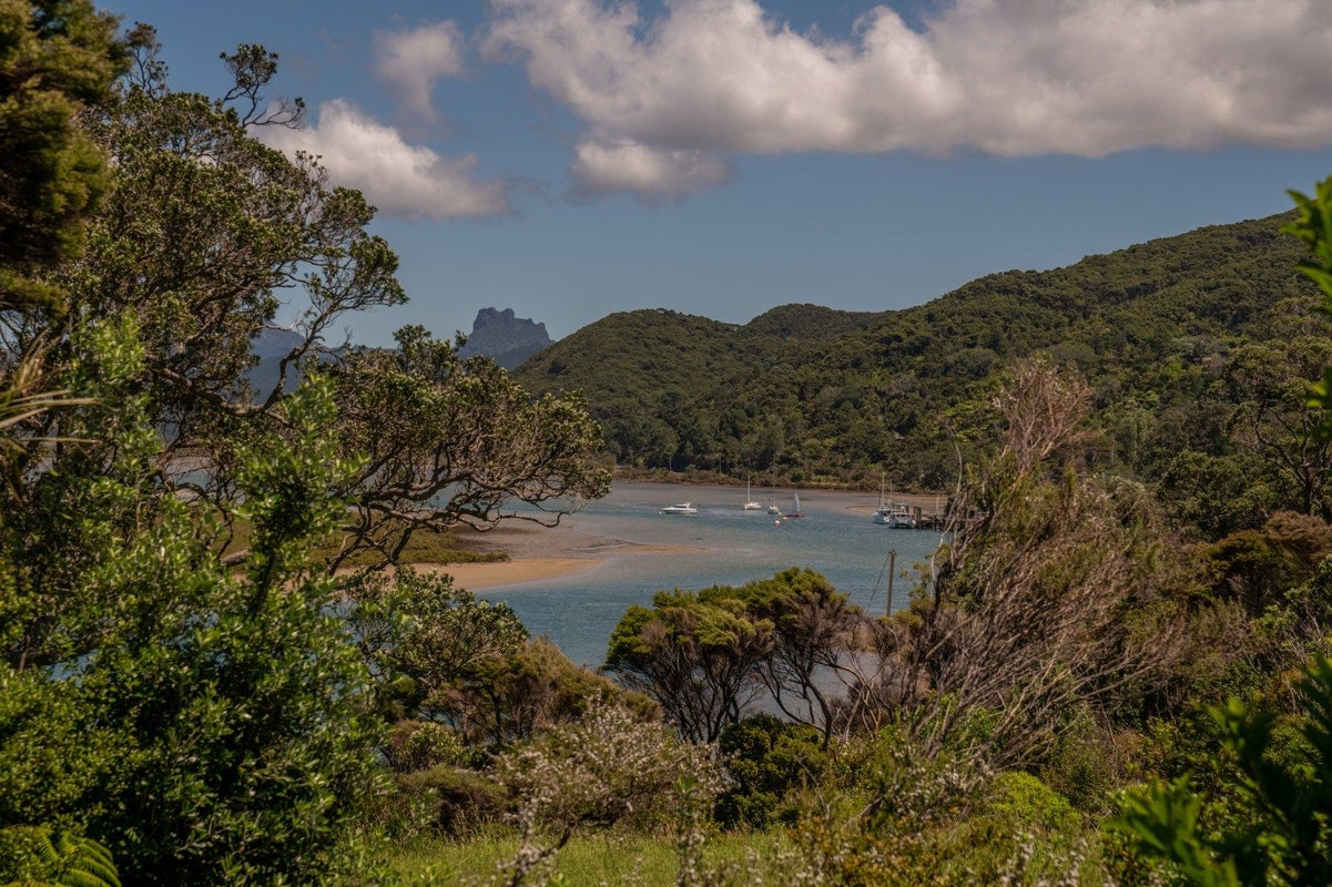 102 Tangiora Avenue, Whangapoua, Thames-Coromandel, Waikato - Carousel 25
