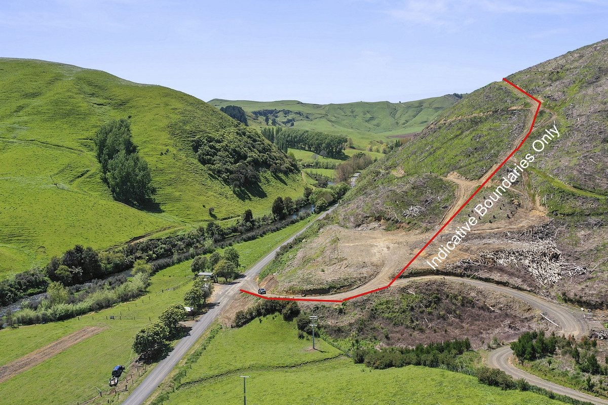 0 Newman Road, Eketahuna, Eketahuna - Carousel 1