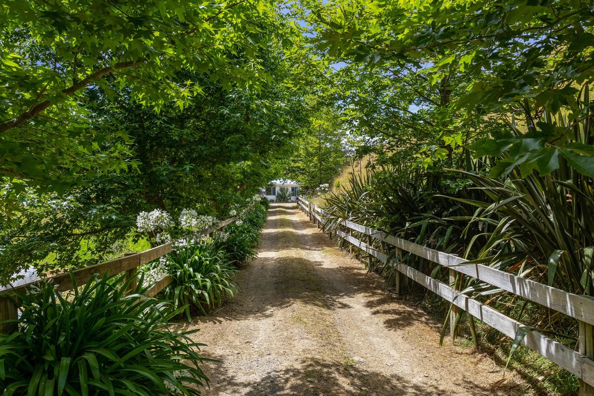 47A Awanuiarangi Road, Pikowai, Whakatane - Carousel 2