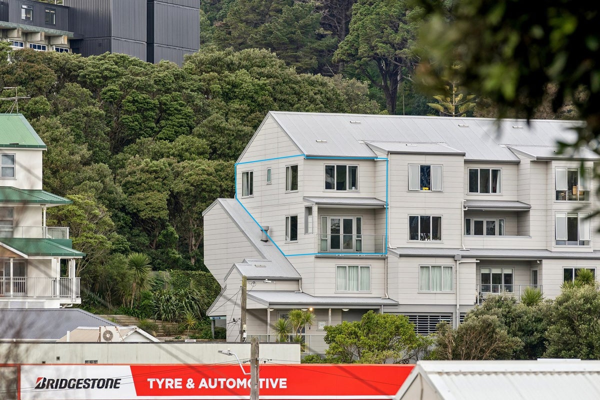 10/6 Brown Street, Mount Cook, Wellington - Carousel 25