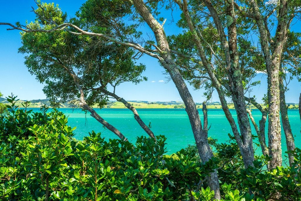 639 Whangarei Heads Road, Tamaterau, Whangarei - Carousel 35