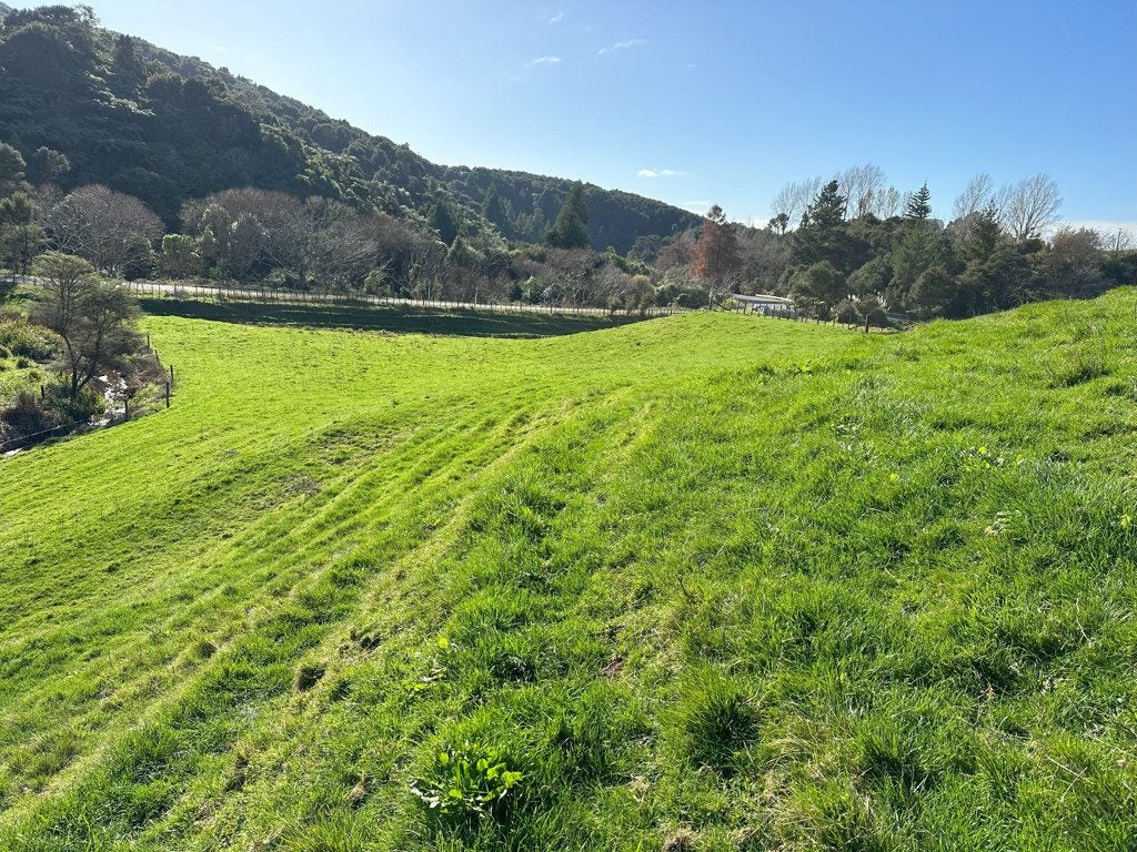 305 Waingaro Road, Ngaruawahia, Ngaruawahia - Carousel 2