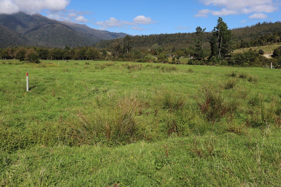 115 Gladstone Road, SEDDONVILLE, WESTPORT - Carousel 2