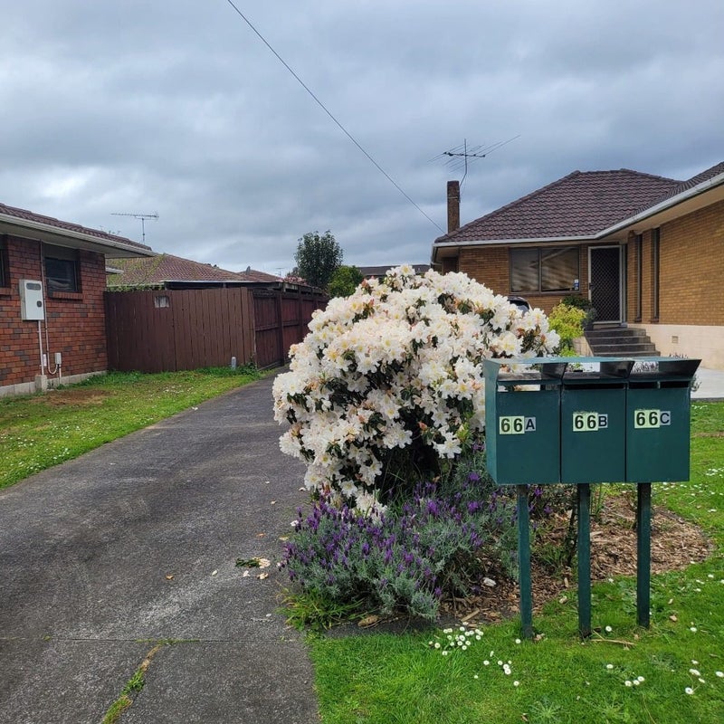 2/66 Marne Road, Papakura, Papakura - Carousel 14