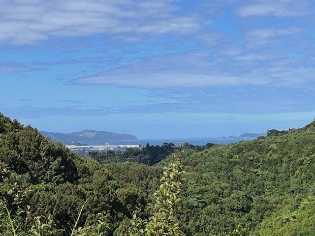 14 Haast Close, Kelson, Lower Hutt - Carousel 26