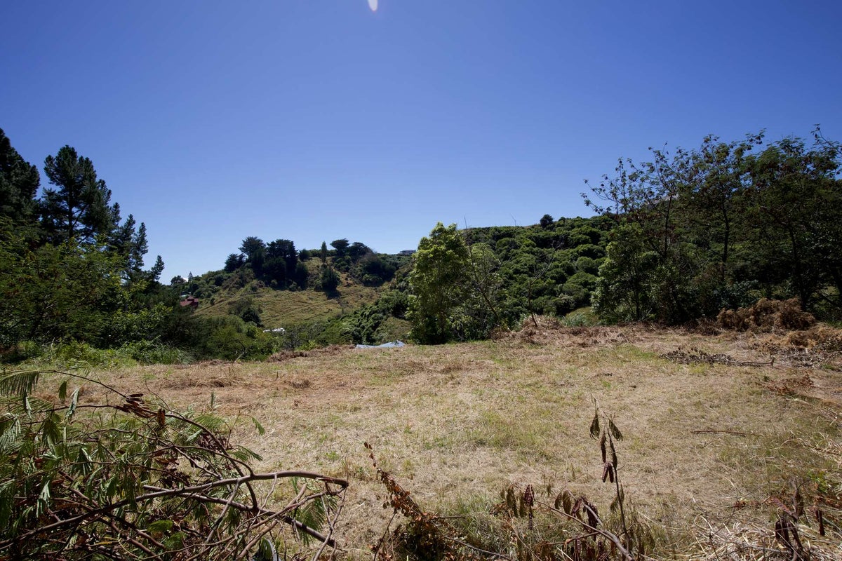 21 Shakespeare Road, Bastia Hill, Whanganui - Carousel 2