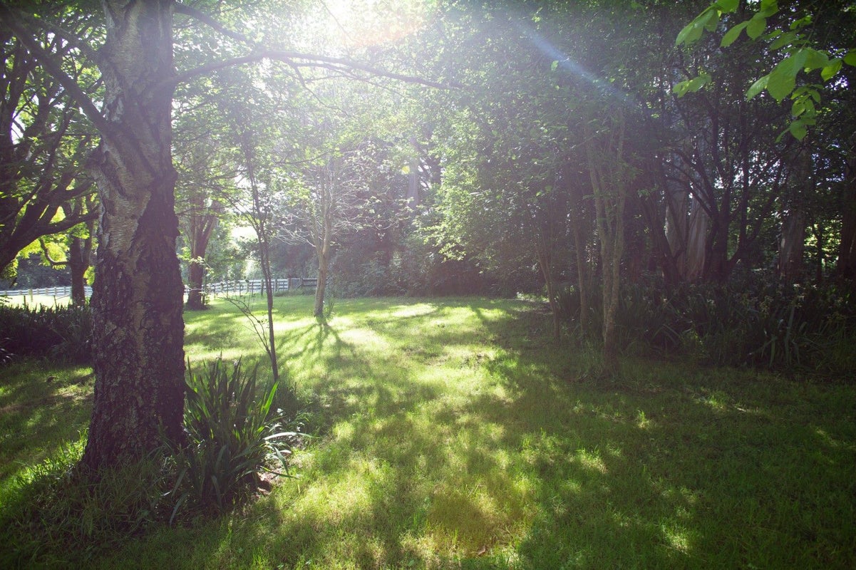 0 Norsewood Ormondville Rd, Norsewood - Carousel 2