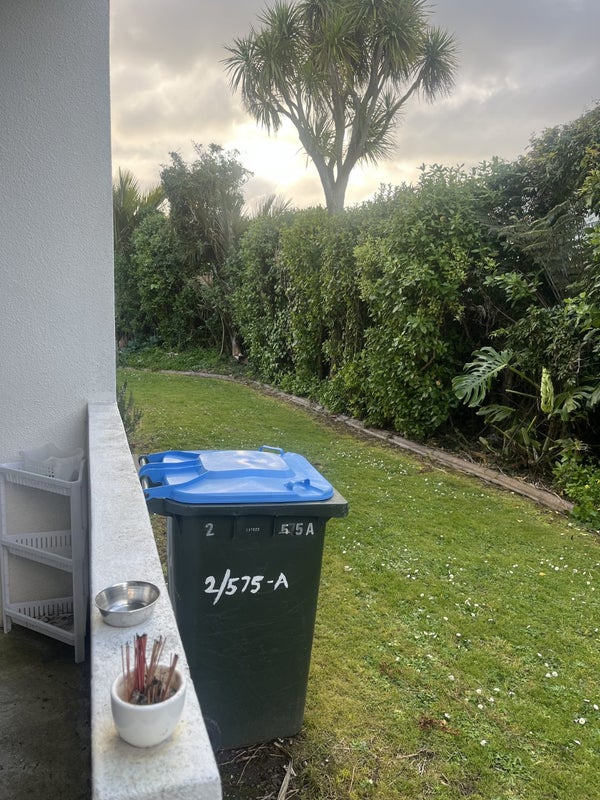 575B Mount Eden Road, Mount Eden, Auckland - Carousel 14
