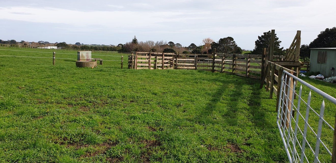 1343 Devon Road, Brixton, Waitara - Carousel 32