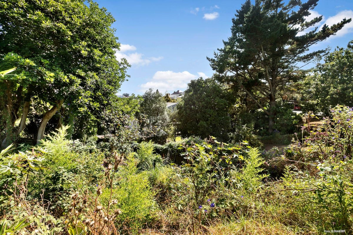 583 New North Road, Kingsland, Auckland - Carousel 1