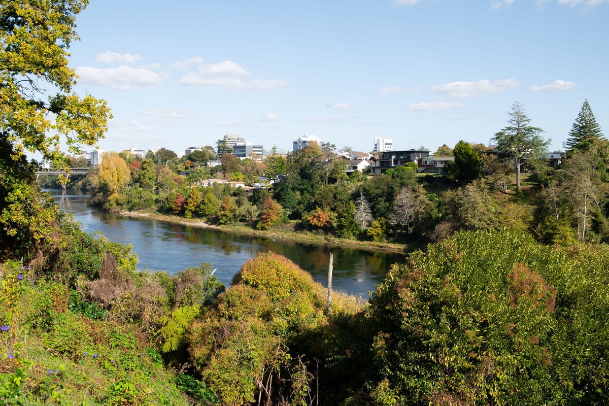 376 River Road, Claudelands, Hamilton - Carousel 2