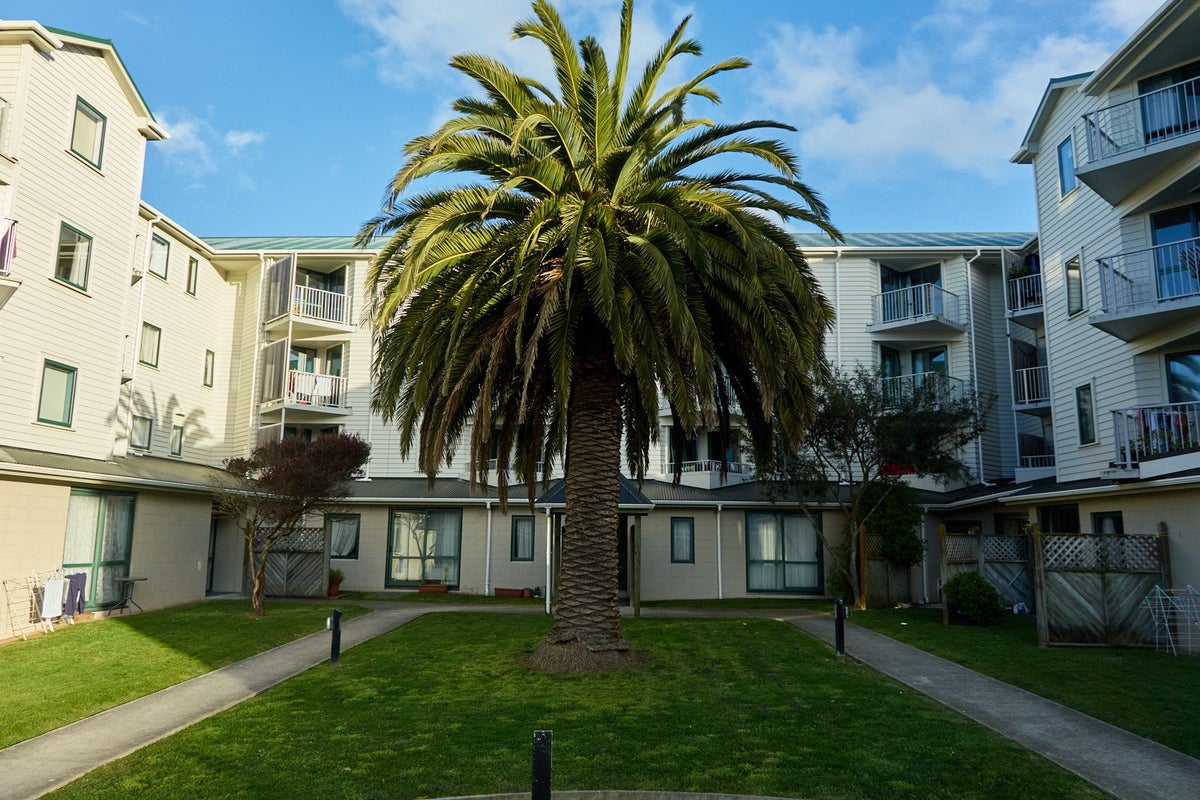 C2/13 Palm Grove, Berhampore, Wellington - Carousel 1