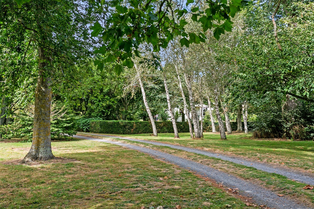 1204 Kaipaki Road, Cambridge, Cambridge - Carousel 2