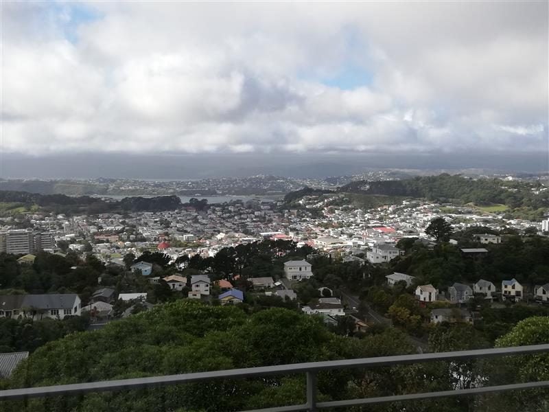 27 Fortunatus Street, Brooklyn, Wellington - Carousel 10